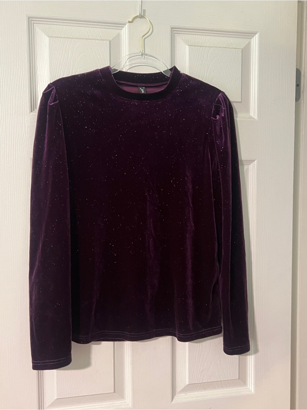 Long Sleeve Purple Velvet with silver glitter